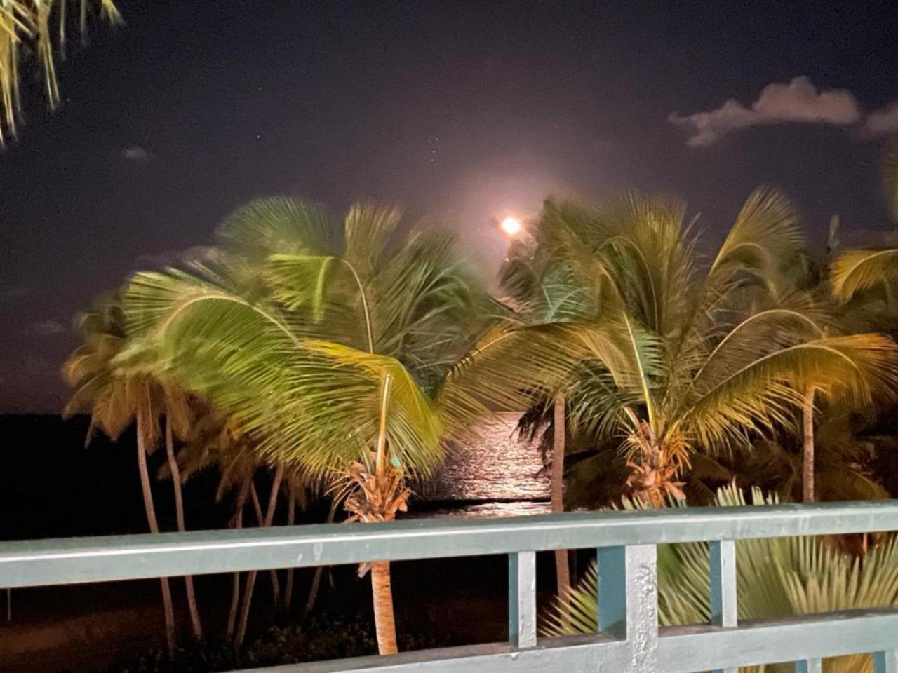 Beachfront Luxury 2 Bedroom At Wyndham Rio Mar, Pr Лукильо Екстериор снимка