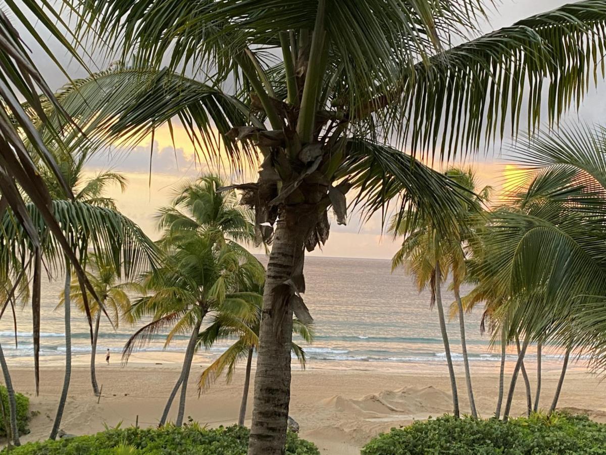 Beachfront Luxury 2 Bedroom At Wyndham Rio Mar, Pr Лукильо Екстериор снимка